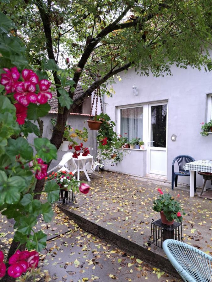 Soul Palić Exterior foto